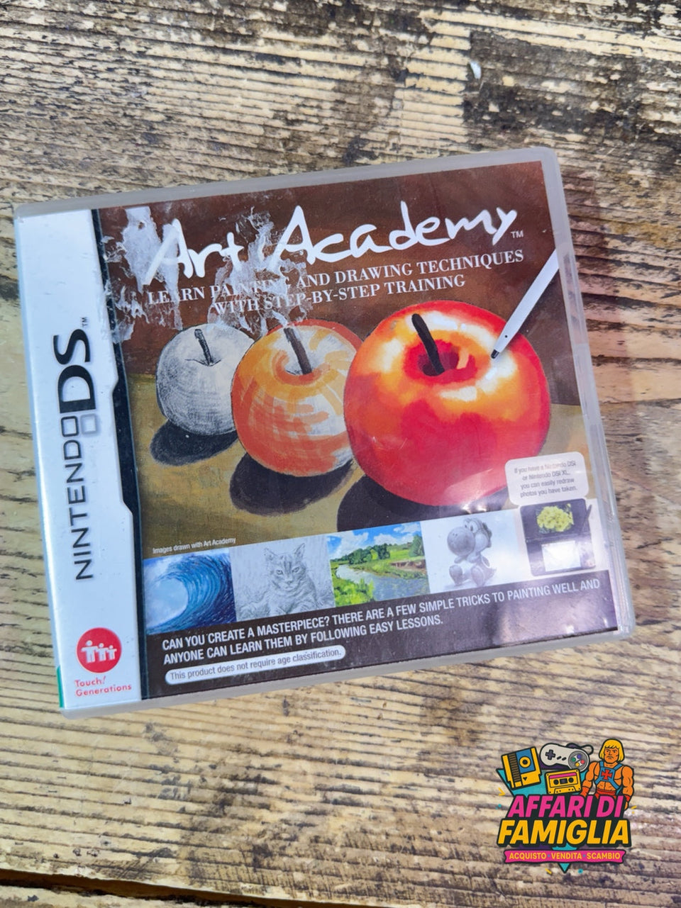 Gioco nintendo ds art academy