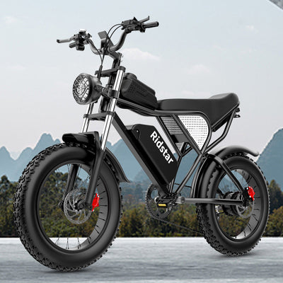 Bici elettrica Ridstar Q20 Electric Bike 2000W 48V 40AH Powerful Dual motor Electric BAD PEOPLE